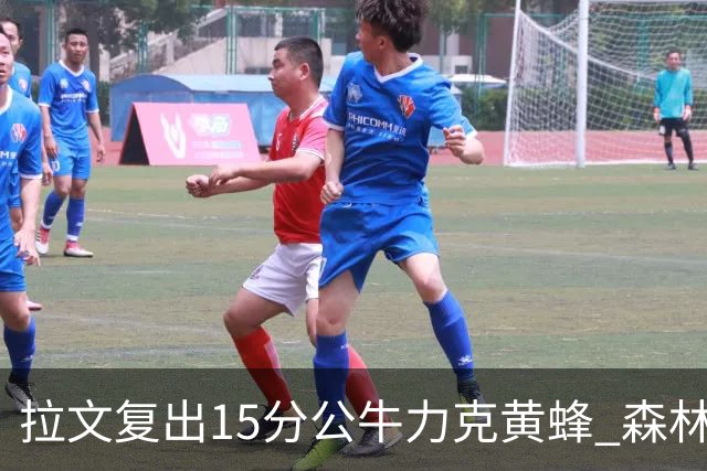 拉文复出15分公牛力克黄蜂 森林狼大胜火箭
